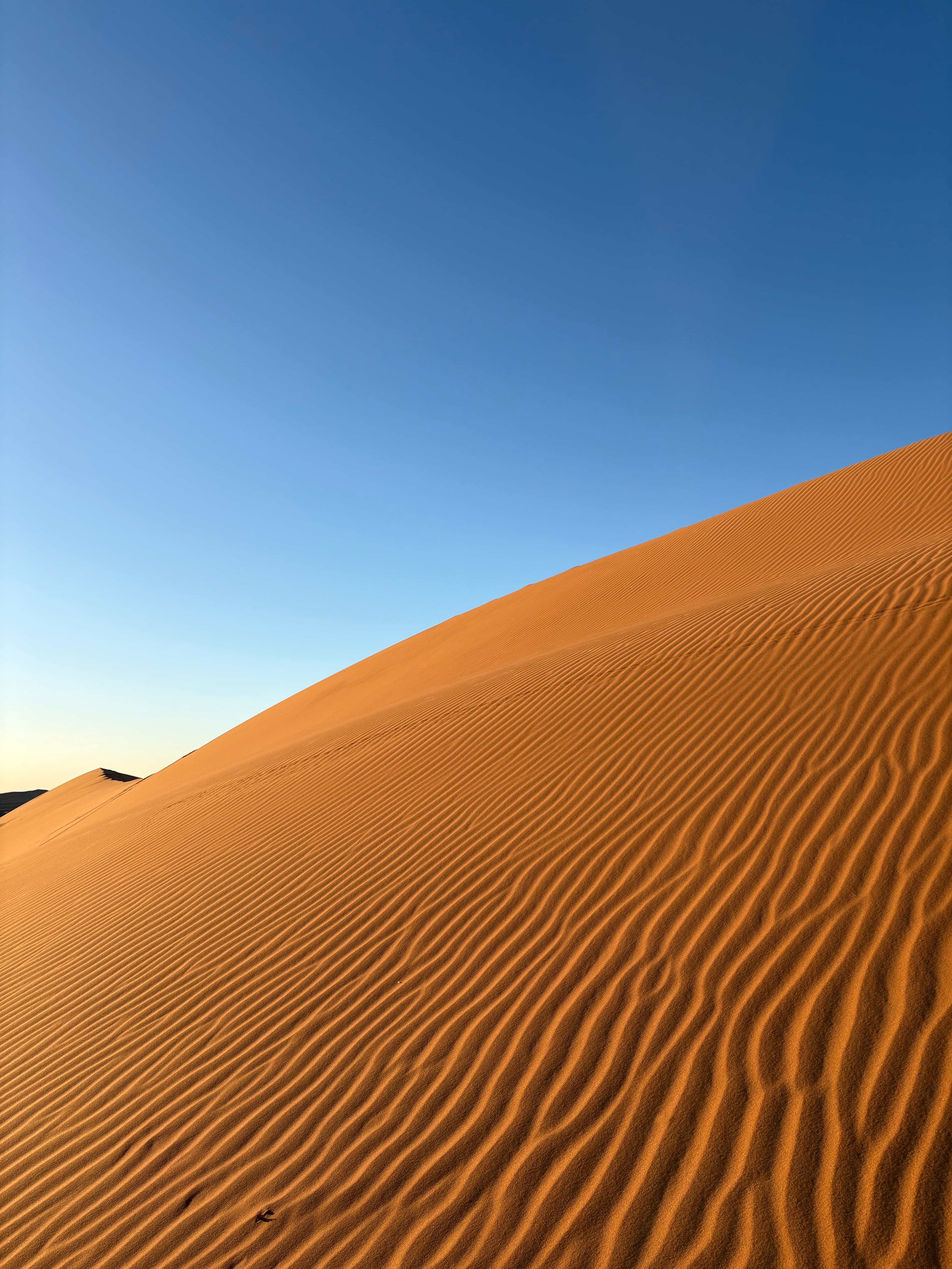 The golden sand dunes of the Merzouga desert