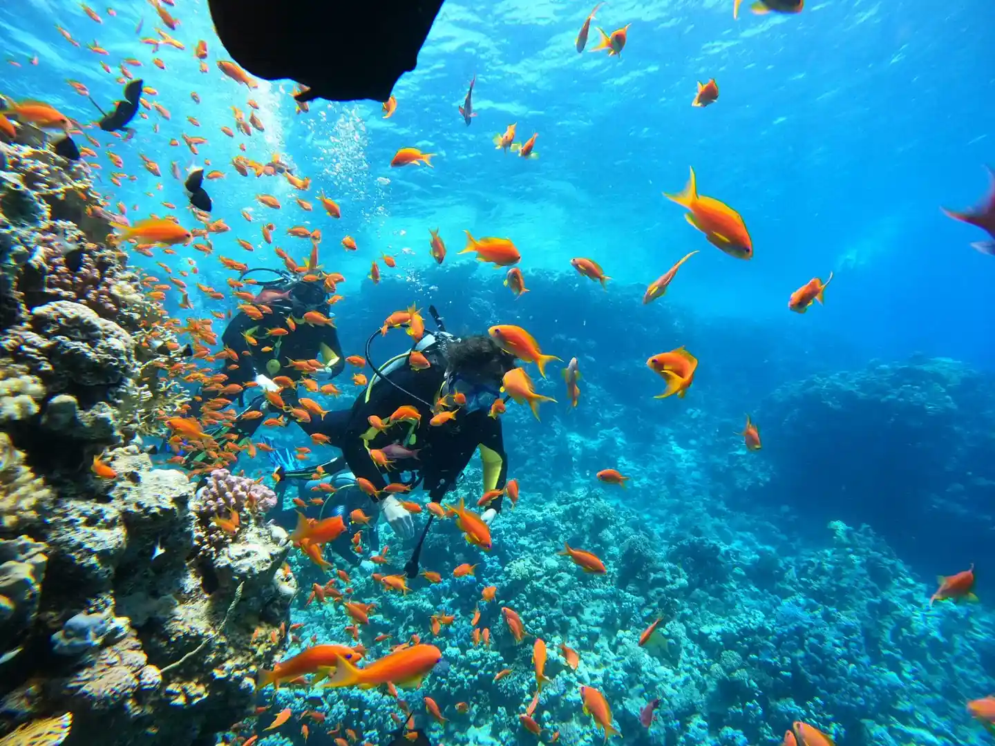 GR Stories | Snorkelling on the house reef