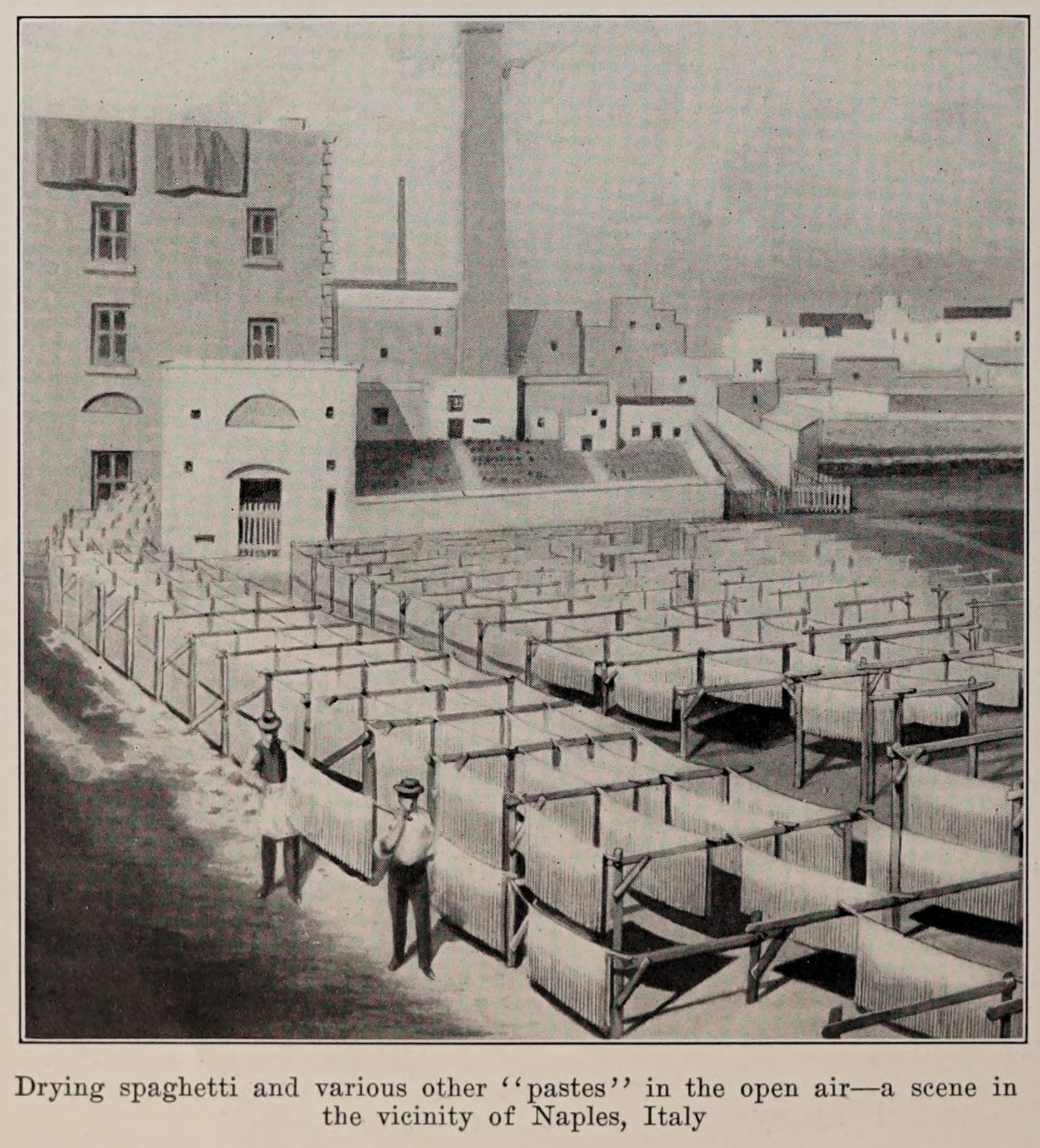 GR Stories | Spaghetti drying in the open air near Naples