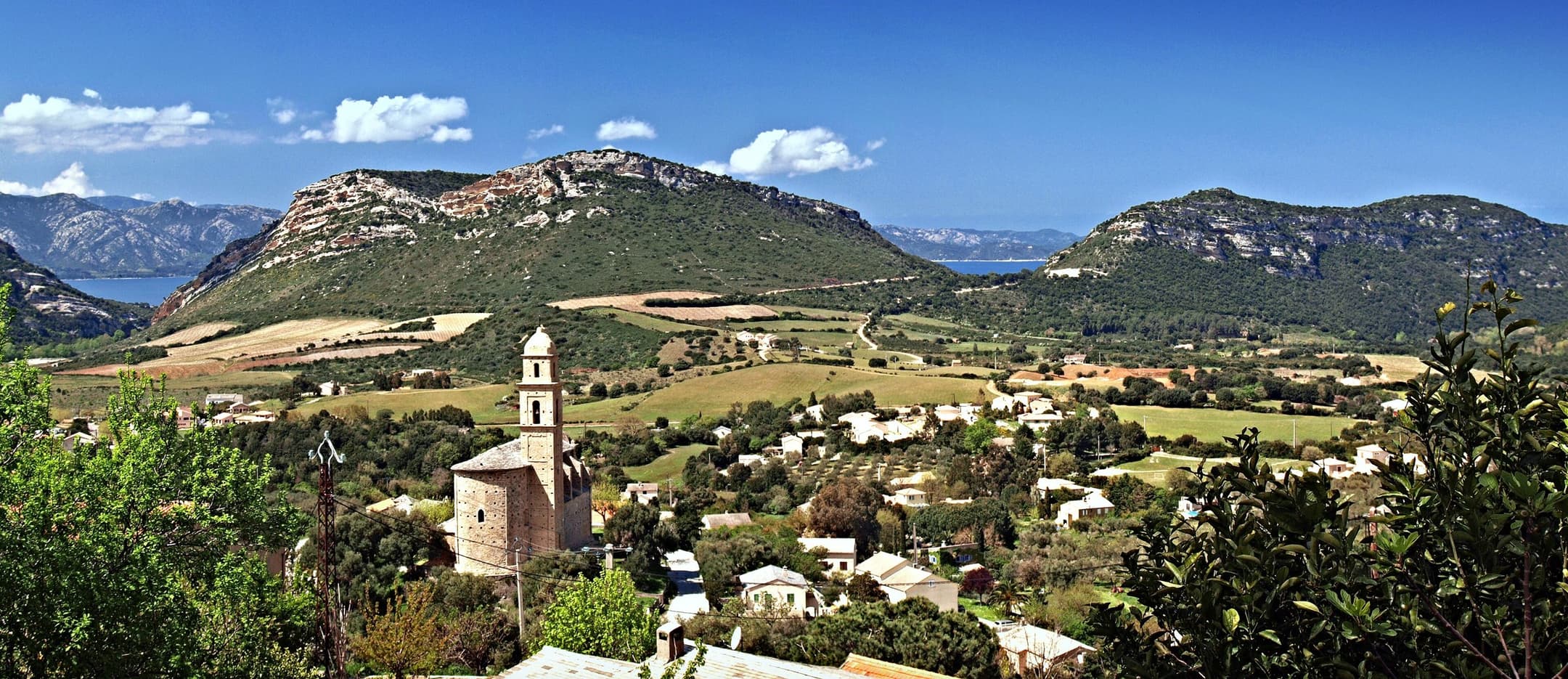 The village of Patrimonio among its vineyards